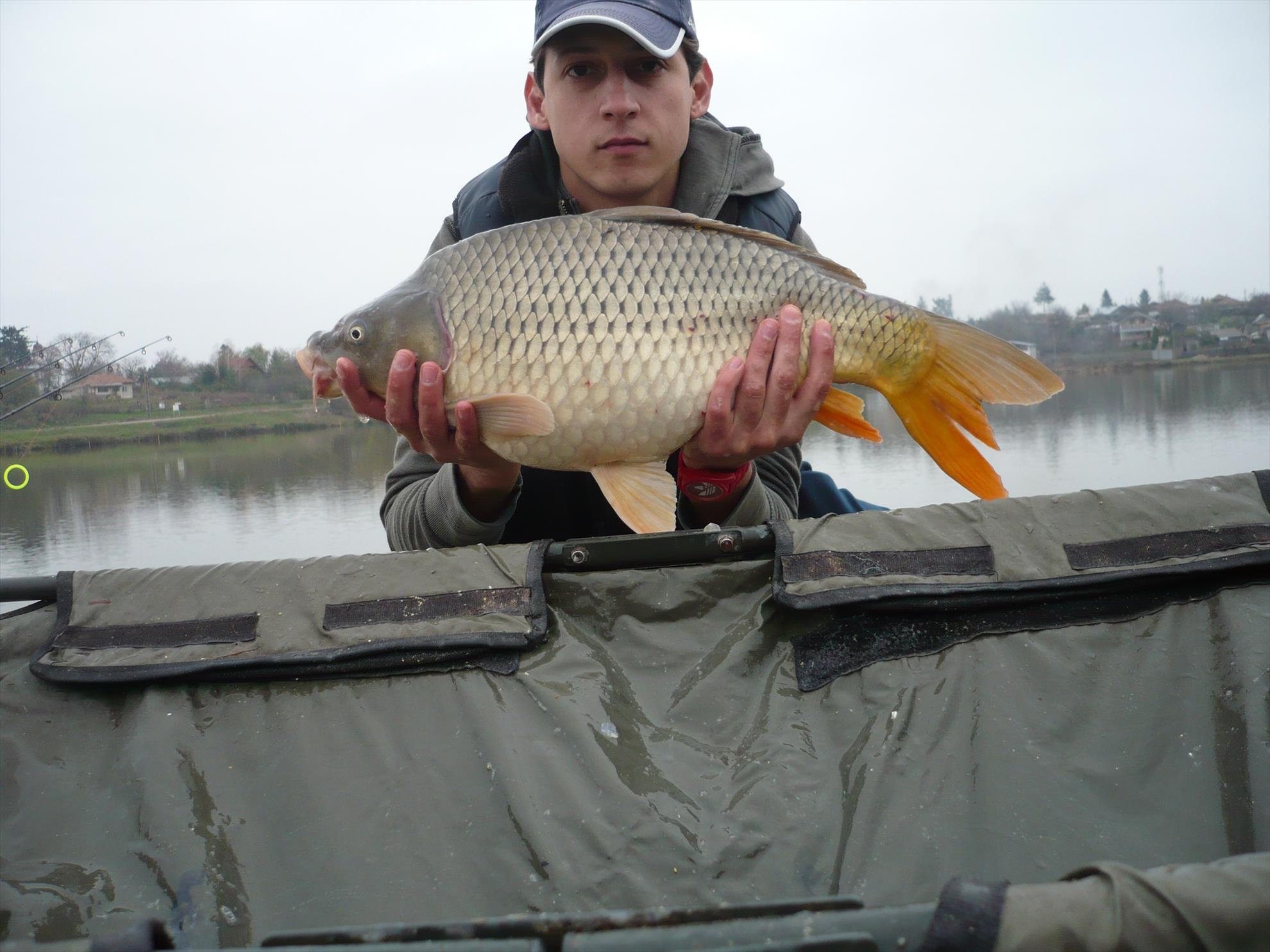 MV2 - 13.NOI.2013 - p1010935.JPG